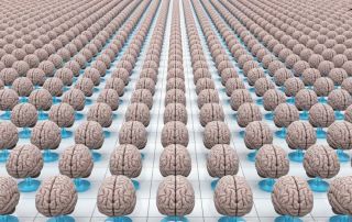 Thousand Brains Theory