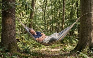 In the hammock: Does AI increase the risk of dementia?
